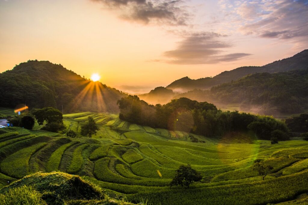 Oyama Rice Terraces at sunrise